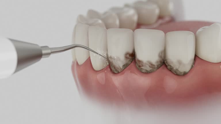 Reliable Dental contractor in Barberton, OH by Dentist Open Now